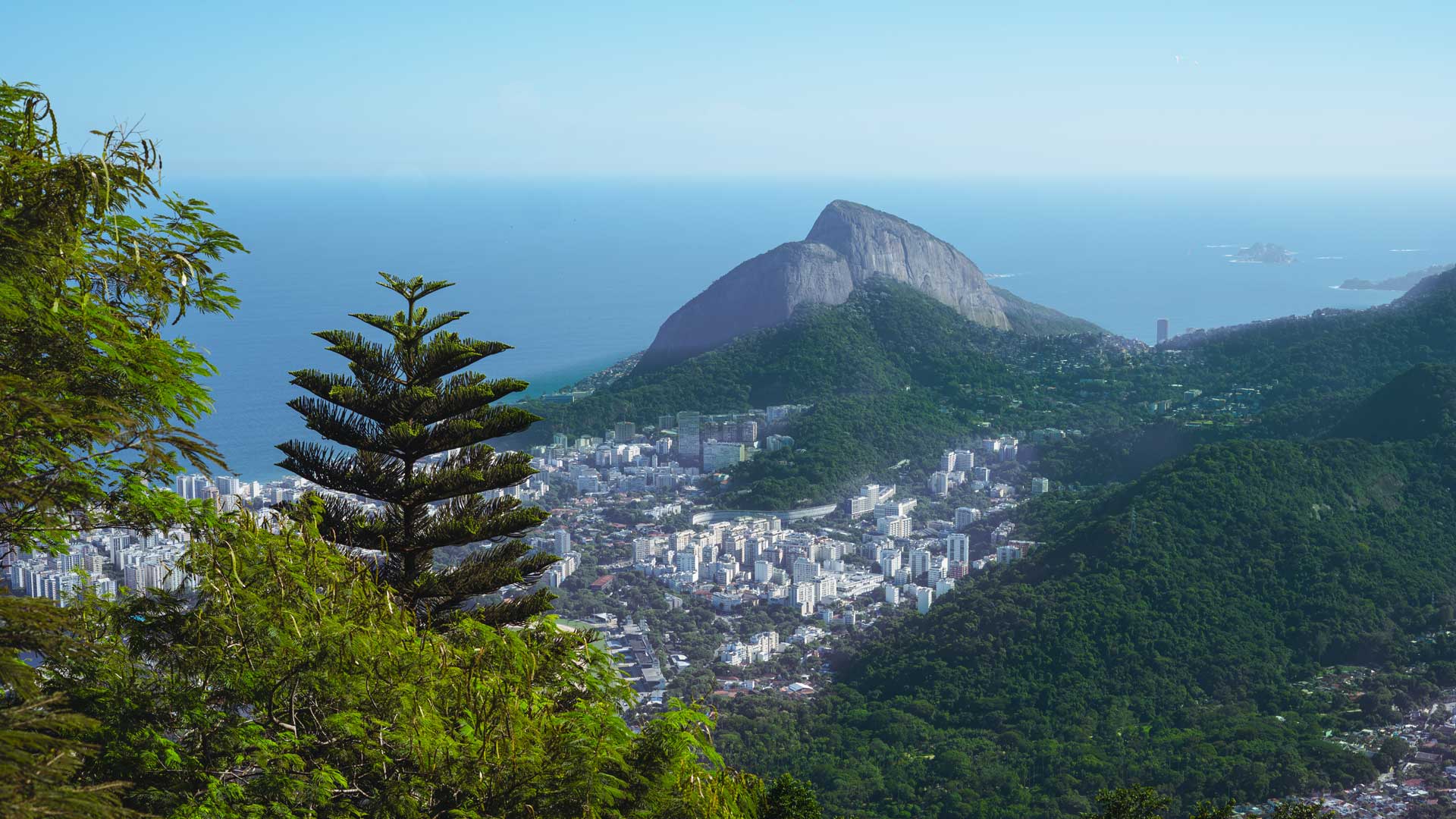 Parque Nacional da Tijuca – Um Refúgio Natural