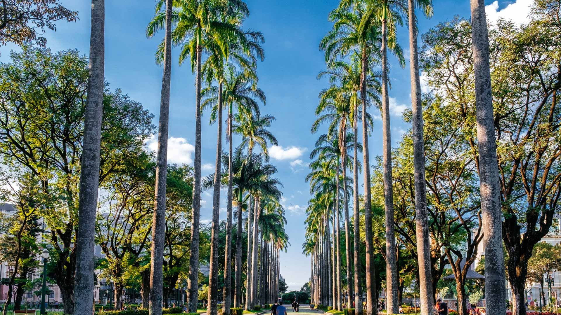 O Jardim Botânico e Suas Maravilhas