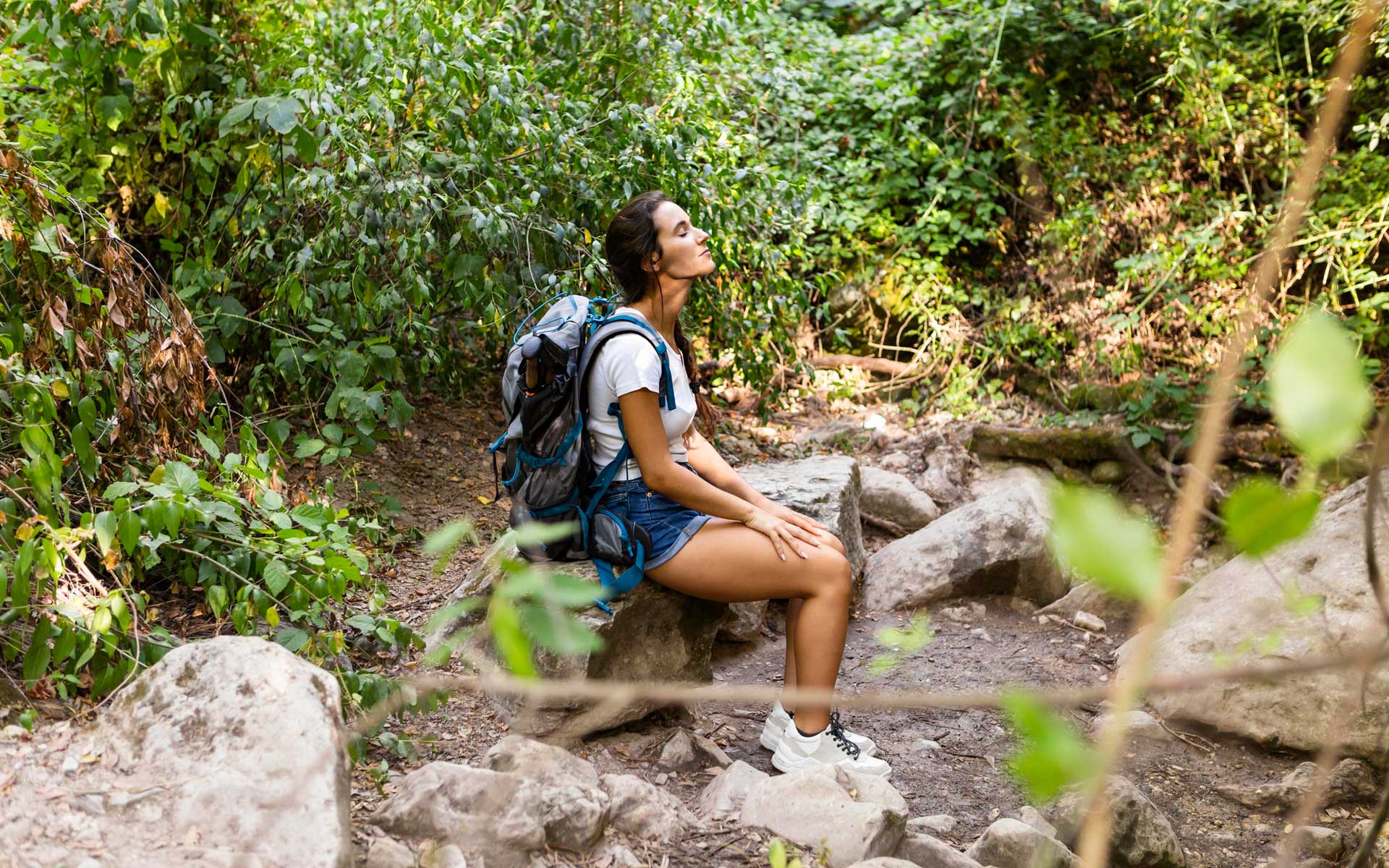 Trilhas na Floresta da Tijuca